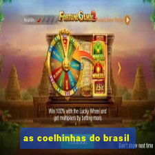 as coelhinhas do brasil